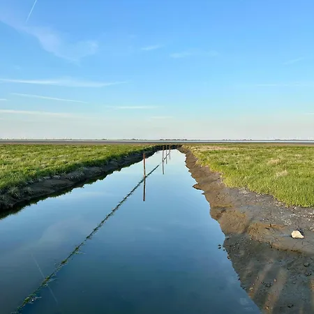 Hare Twee * Langeneß