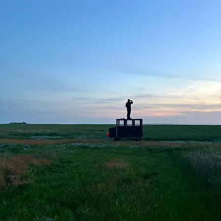 Hare Twee Lejlighed