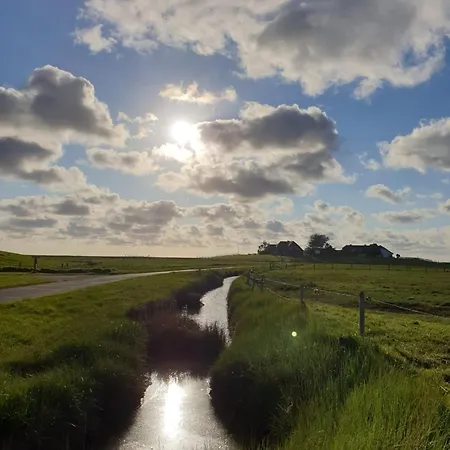 Hare Twee Lejlighed Langeneß